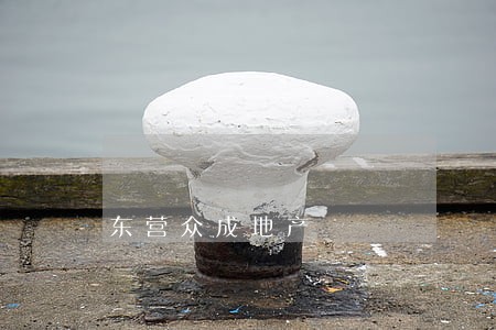 东营众成地产 东营众成地产