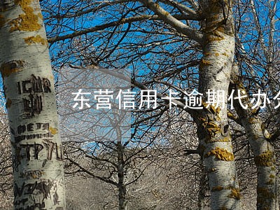 东营信用卡逾期代办分期 东营信用卡逾期代办分期
