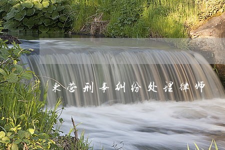 东营刑事纠纷处理律师