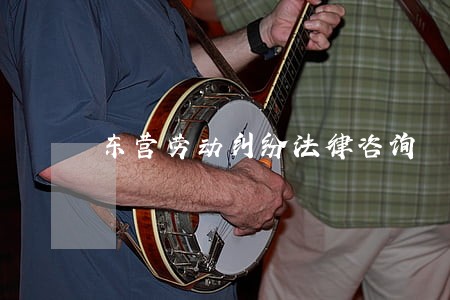 东营劳动纠纷法律咨询
