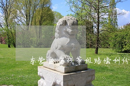 东营区伤残等级赔偿纠纷律师 东营区伤残等级赔偿纠纷律师