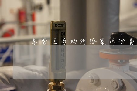 东营区劳动纠纷案诉讼费 东营区劳动纠纷案诉讼费