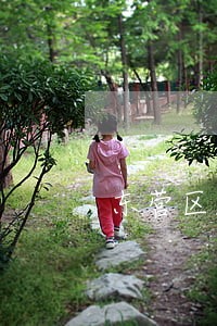 东营区知名合同诉讼律师 东营区知名合同诉讼律师