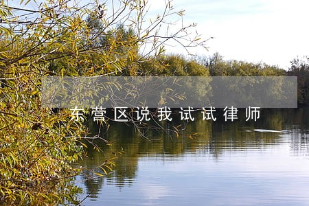 东营区说我试试律师 东营区说我试试律师