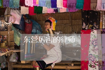 东营厉害的律师 东营厉害的律师