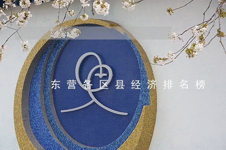 东营各区县经济排名榜 东营各区县经济排名榜