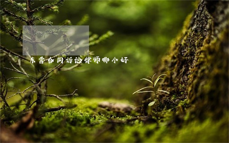 东营合同诉讼律师哪个好 东营合同诉讼律师哪个好