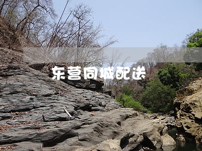 东营同城配送 东营同城配送