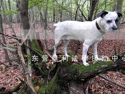东营垦利法律援助中心 东营垦利法律援助中心