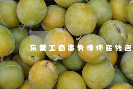 东营工商事务律师在线咨询
