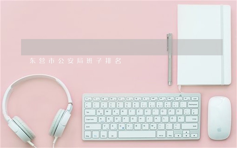 东营市公安局班子排名