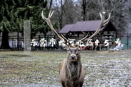 东营市兴河北区45号 东营市兴河北区45号