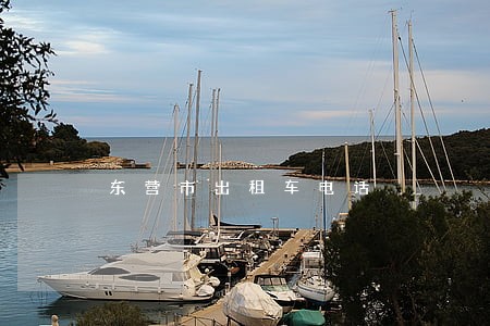 东营市出租车电话 东营市出租车电话