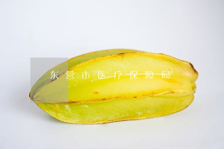 东营市医疗保障局 东营市医疗保障局