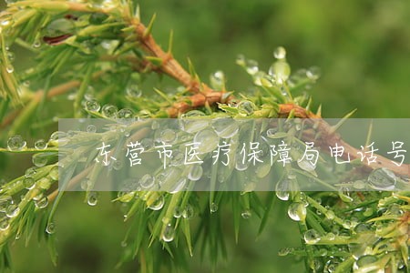 东营市医疗保障局电话号码 东营市医疗保障局电话号码
