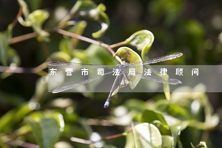 东营市司法局法律顾问 东营市司法局法律顾问