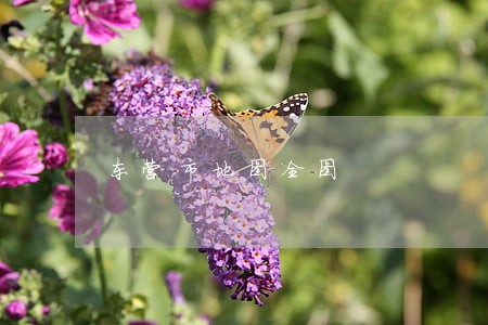东营市地图全图 东营市地图全图