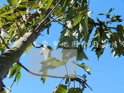 东营市地图全图高清版 东营市地图全图高清版