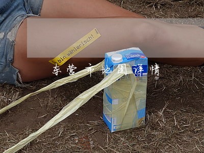 东营市地图详情 东营市地图详情