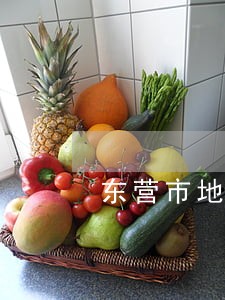 东营市地图高清版交通图 东营市地图高清版交通图