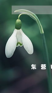 东营市广饶县法律援助站 东营市广饶县法律援助站