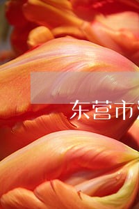 东营市河口区司法拍卖房产风险 东营市河口区司法拍卖房产风险