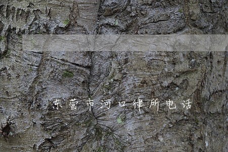 东营市河口律所电话 东营市河口律所电话