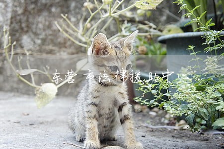 东营市法律援助中心 东营市法律援助中心