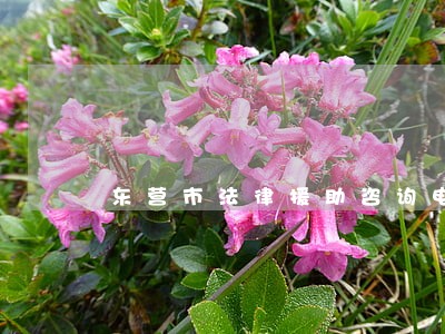 东营市法律援助咨询电话 东营市法律援助咨询电话