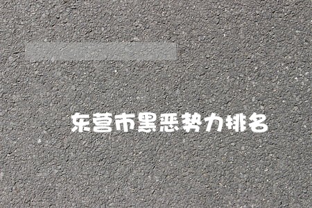 东营市黑恶势力排名 东营市黑恶势力排名
