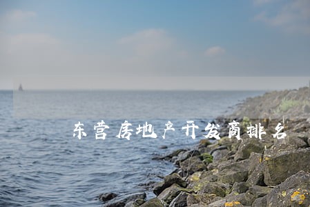 东营房地产开发商排名 东营房地产开发商排名