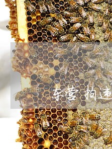 东营拍违法的路口 东营拍违法的路口