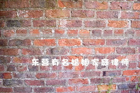 东营有名婚姻家庭律师 东营有名婚姻家庭律师