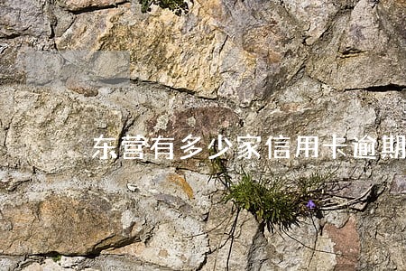 东营有多少家信用卡逾期名单