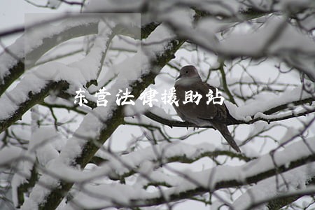 东营法律援助站 东营法律援助站