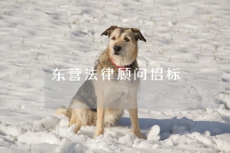 东营法律顾问招标 东营法律顾问招标