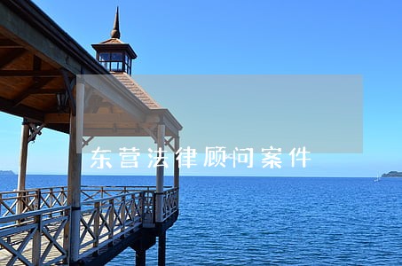 东营法律顾问案件
