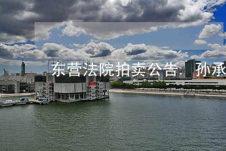 东营法院拍卖公告.孙承强房产 东营法院拍卖公告.孙承强房产