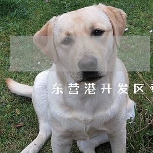 东营港开发区专办债务纠纷案律师 东营港开发区专办债务纠纷案律师