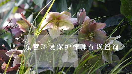 东营环境保护律师在线咨询 东营环境保护律师在线咨询