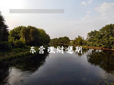 东营理财逾期 东营理财逾期