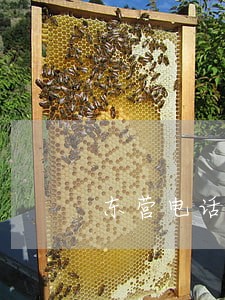 东营电话区号是多少 东营电话区号是多少
