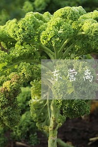 东营离婚免费法律咨询律师 东营离婚免费法律咨询律师