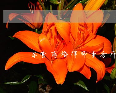 东营离婚律师事务所 东营离婚律师事务所