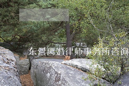 东营离婚律师事务所咨询电话 东营离婚律师事务所咨询电话