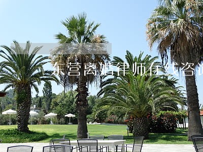 东营离婚律师在线咨询 东营离婚律师在线咨询
