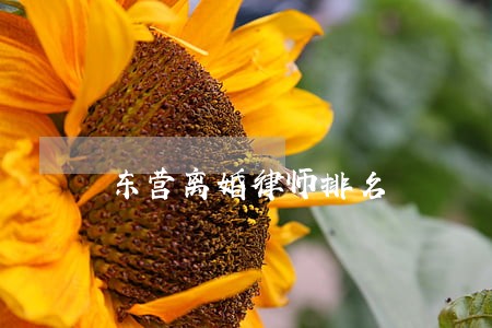 东营离婚律师排名 东营离婚律师排名