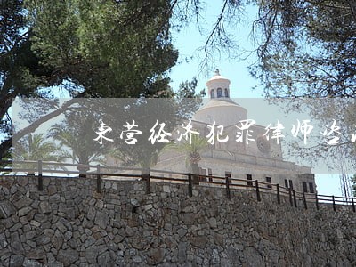 东营经济犯罪律师咨询电话