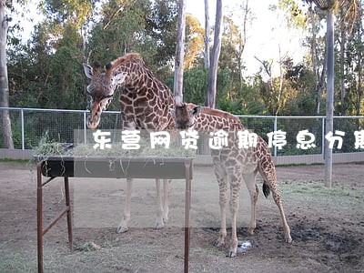 东营网贷逾期停息分期申请条件 东营网贷逾期停息分期申请条件