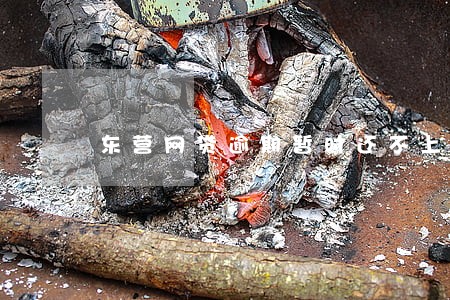 东营网贷逾期暂时还不上怎么办 东营网贷逾期暂时还不上怎么办